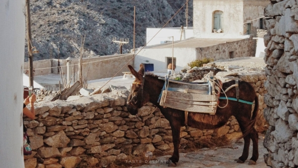 Croatia for Curious Travelers - A Thoughtful Journey